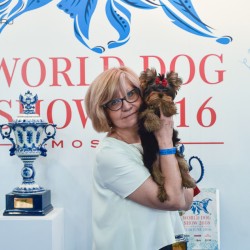 WORLD DOG SHOW