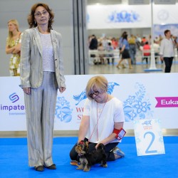 WORLD DOG SHOW