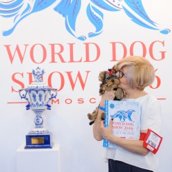 WORLD DOG SHOW